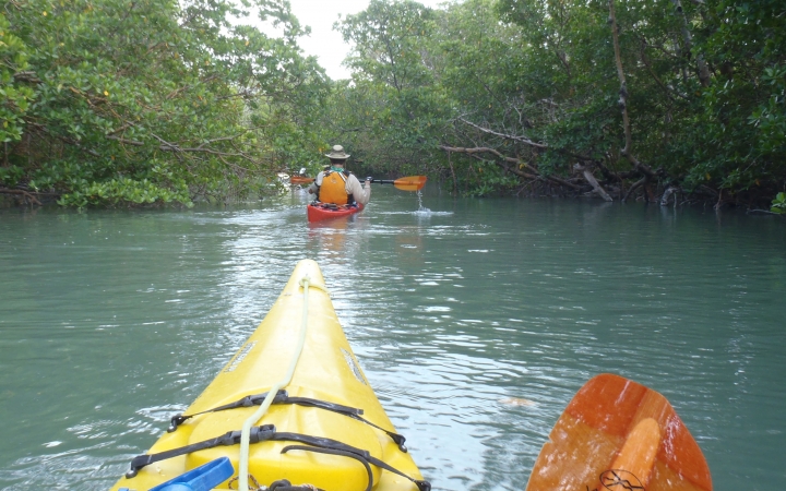 a group of kayaks are paddled through still water surrounded by trees